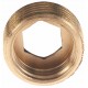 Brass reduced bushing - M/F