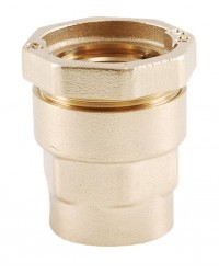 Straight brass coupling - PE / Female