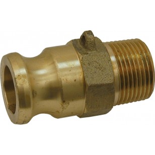 Male adaptor - Type F - Brass