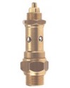 Cut out brass safety relief valve - CE - Metal valve