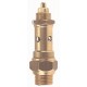 Controlable brass safety relief valve - PTFE valve