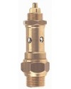 Controlable brass safety relief valve - PTFE valve