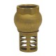 Vertical foot valve - ''Etoile series" - Brass check valve NBR coating