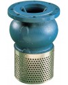 Foot chek valve